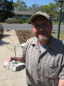 Tree and Me